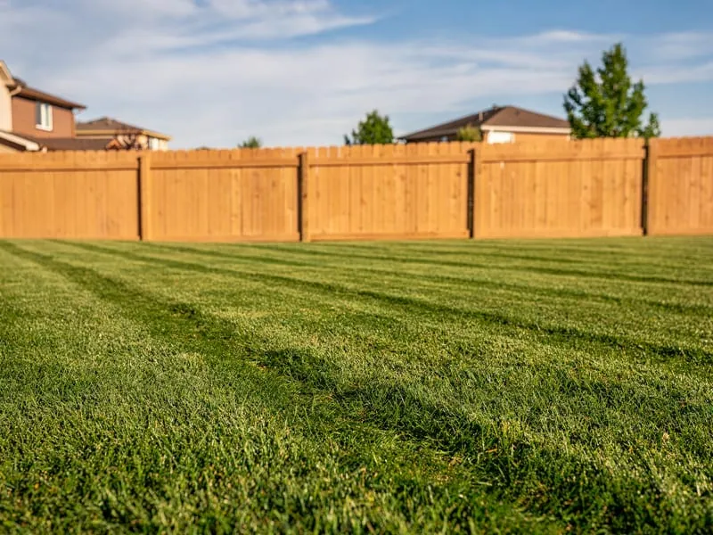 Lawn Mowing & Maintenance by Wildgrass Landscape Co.